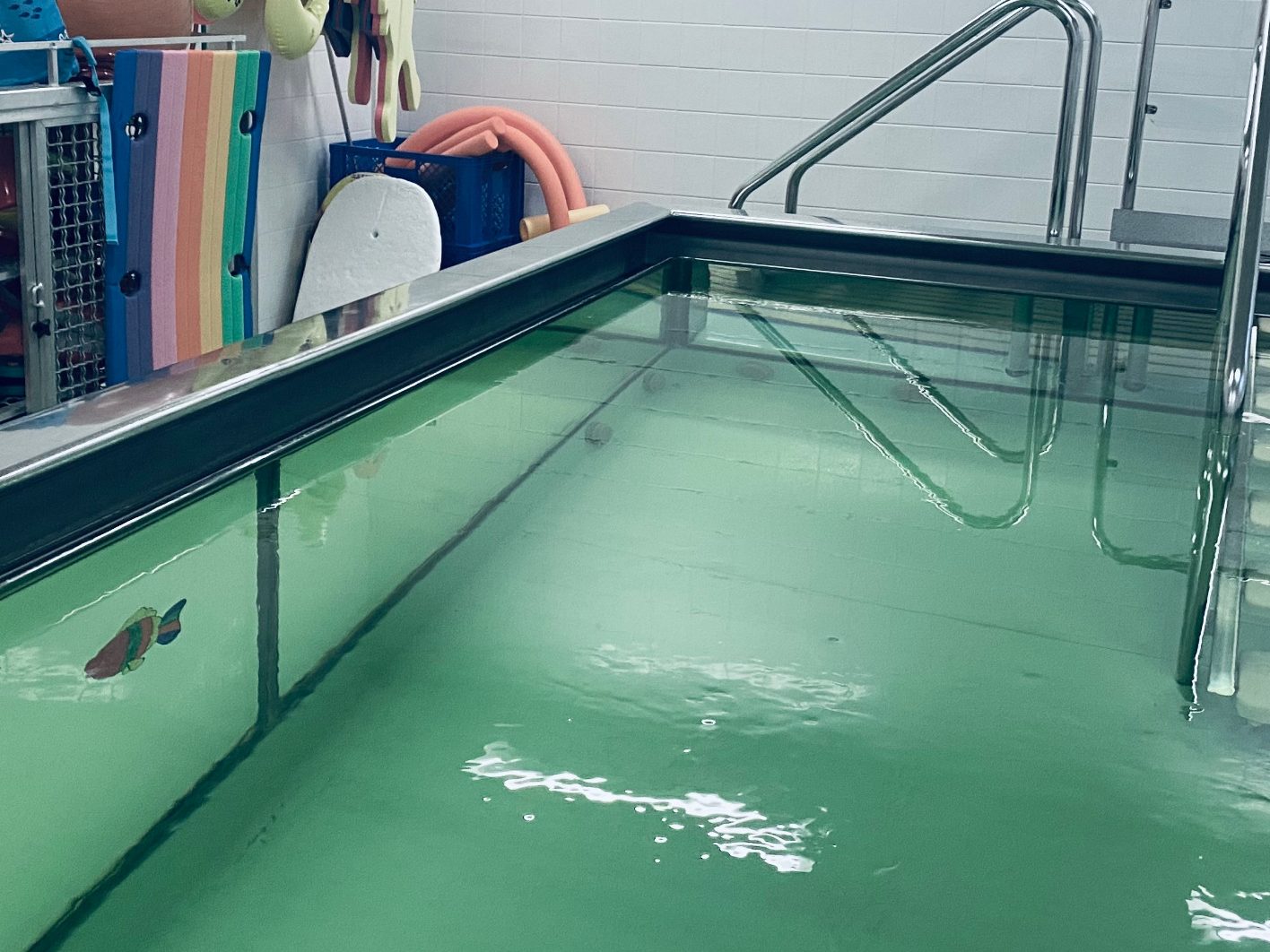 Helles Schwimmbecken mit Treppe, umgeben von Schwimmspielzeug.